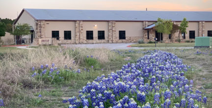 Blue Bonnets surrounding Innovation Workspaces Building